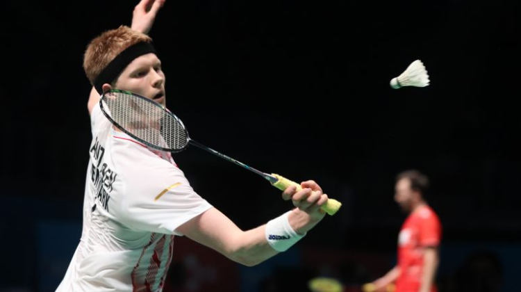 比利时杀入 比利时杀入