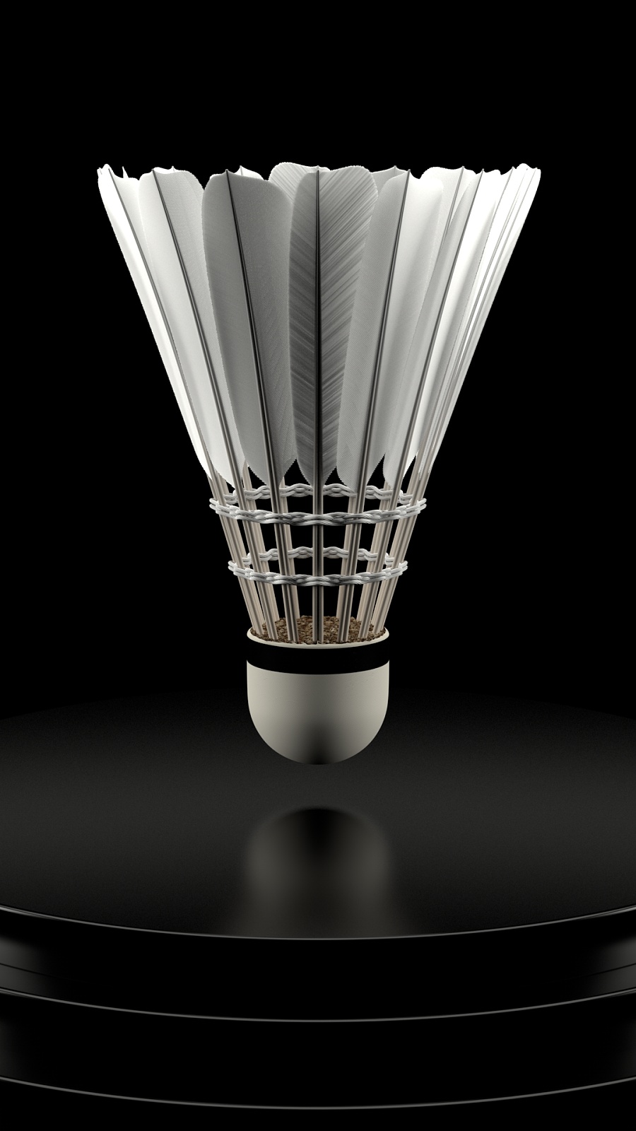 年足球培养 年足球培养